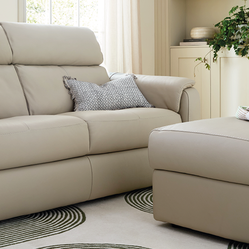 L254 CARE LEAFLET Leather Oakland