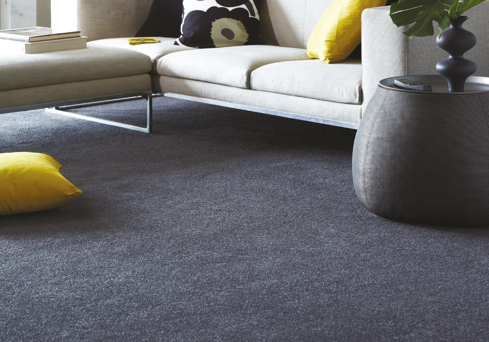 Carpet Banner 1 01
